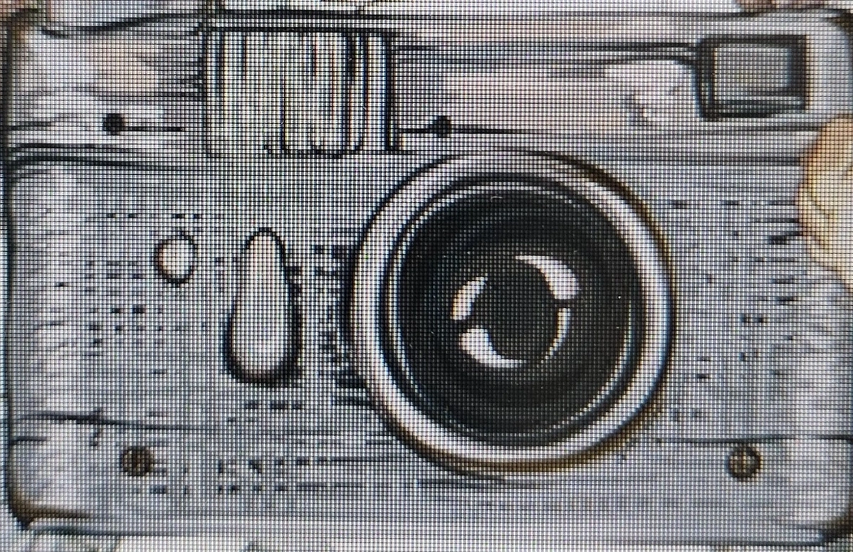 Vánoční fotografování