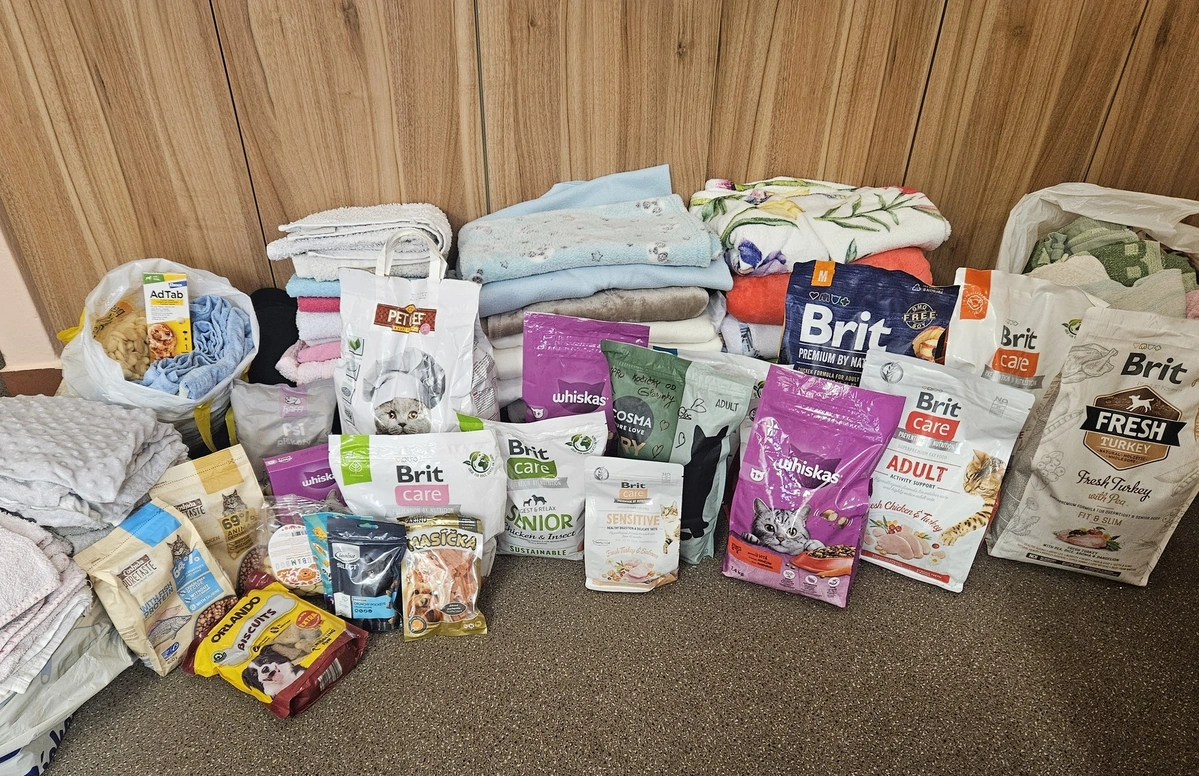 Návštěva předškoláků v útulku